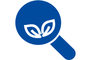 Flat icon magnifying glass with growth shoots